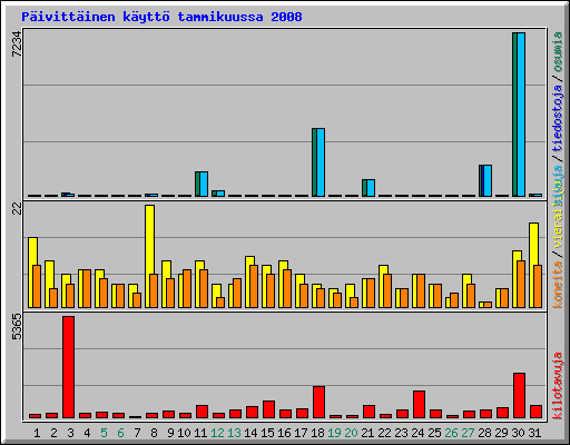 P�ivitt�inen k�ytt� tammikuussa 2008