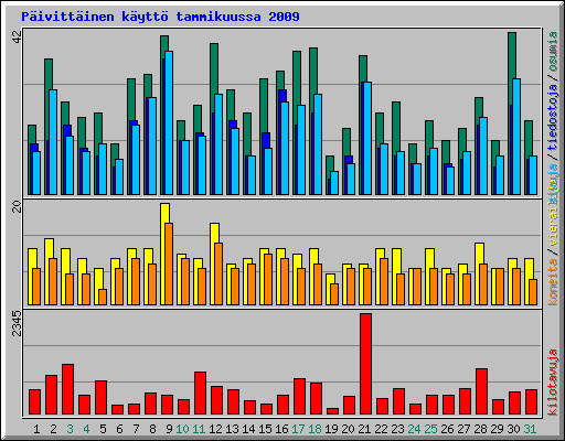 P�ivitt�inen k�ytt� tammikuussa 2009