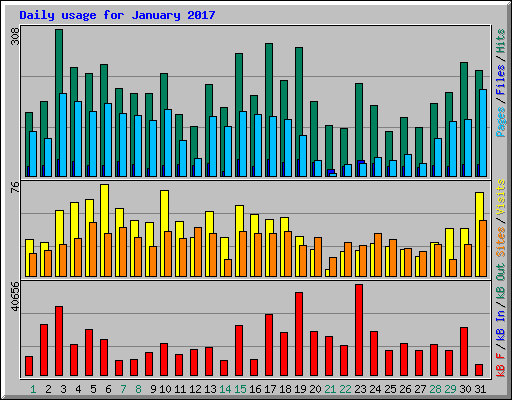 Daily usage for January 2017